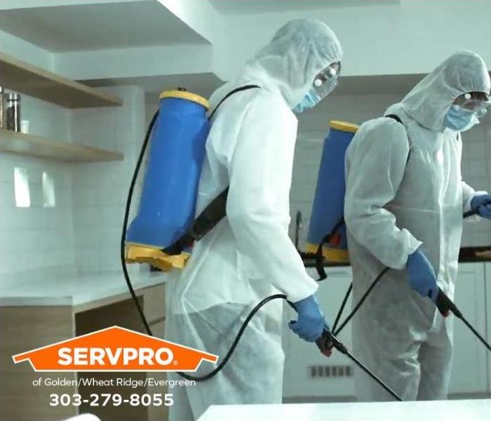Technicians spray antifungal and antimicrobial treatments to eliminate mold colonies in a kitchen.