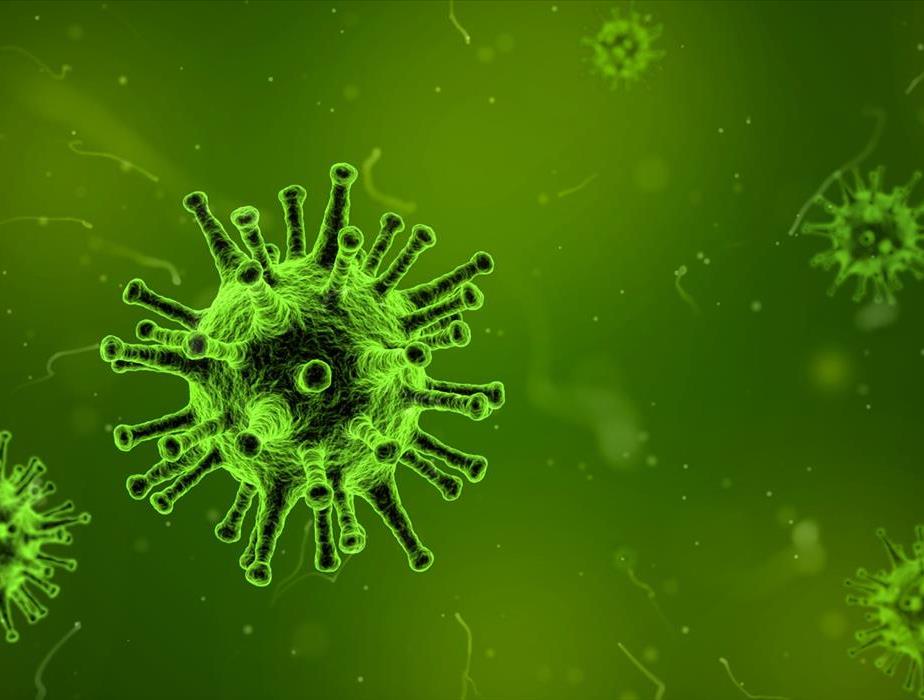 Photo of an up-close virus
