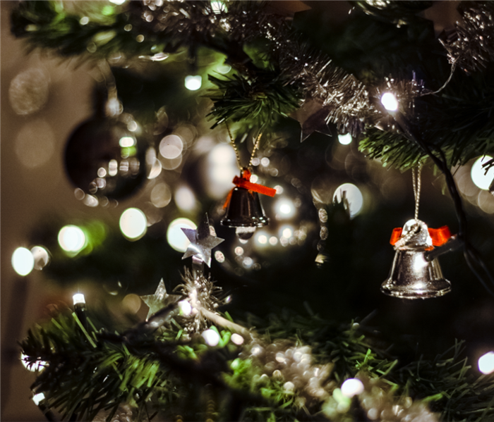 Christmas Tree with lights