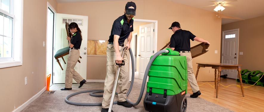 Golden, CO cleaning services